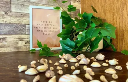 Meadow Camp 1 (Party) – Beachfront Sea View